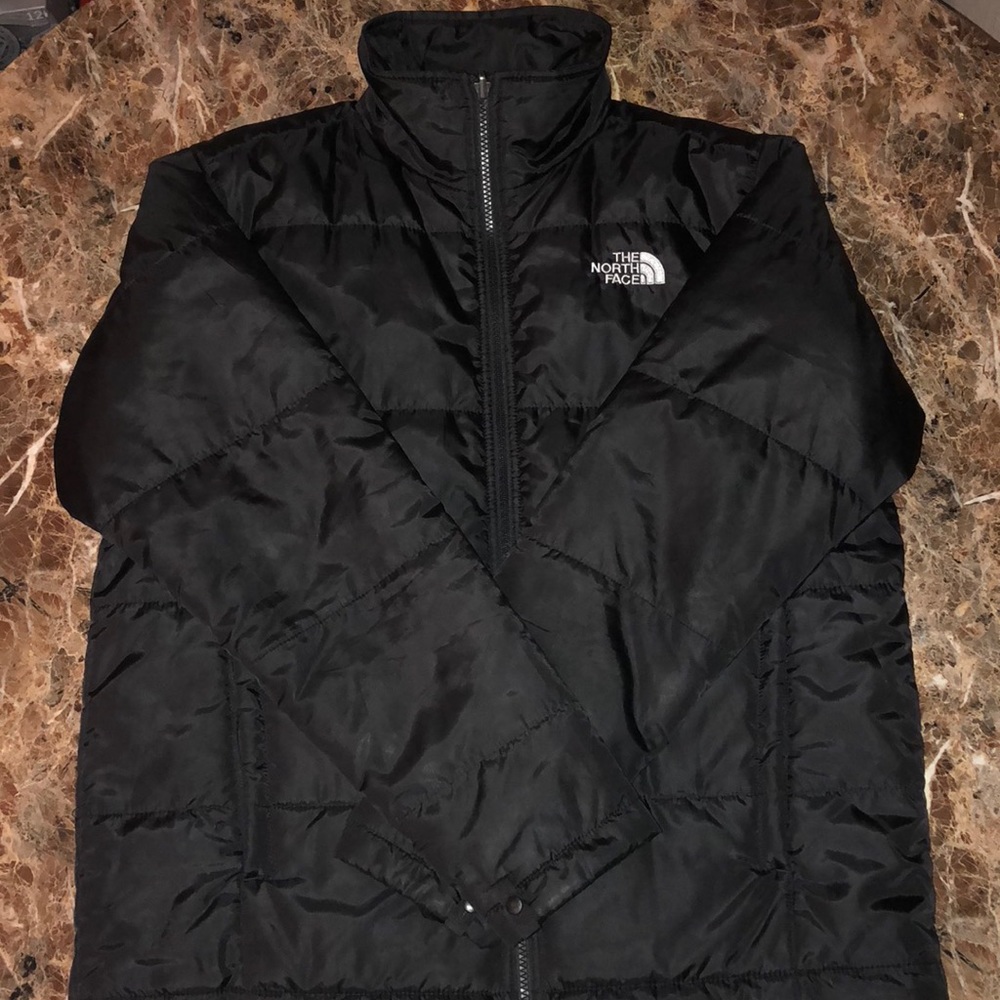 The North Face Thermal/Water Proof Winter Jacket